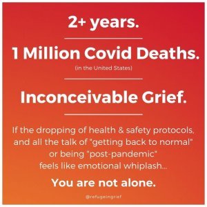 2+ years, 1 million Covid deaths (in the United States), inconceivable grief.